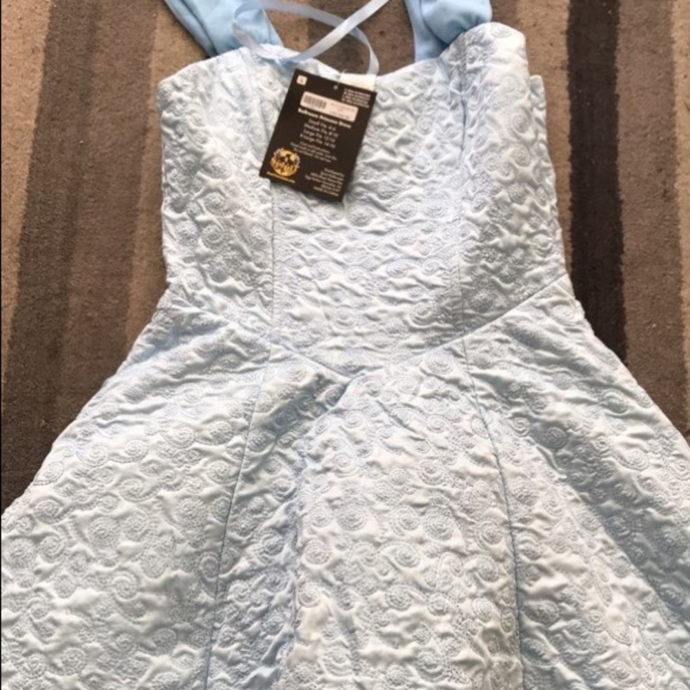 Cinderella dress